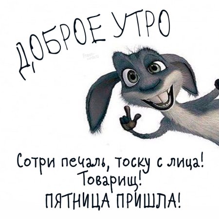 Пожелания с добрым утром пятницы прикольные