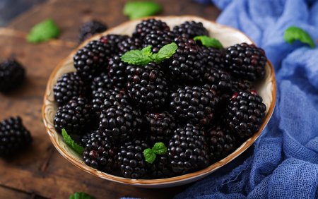 Ежевика аллеганская