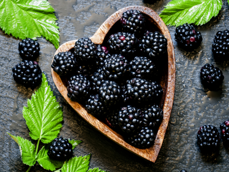 Ежевика куманика