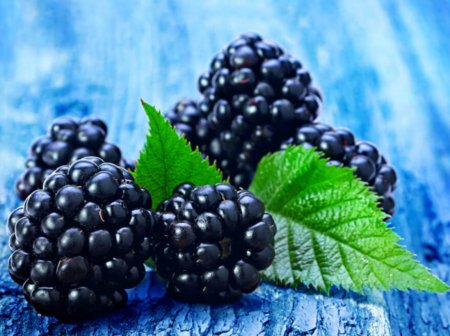 Ежевика фон