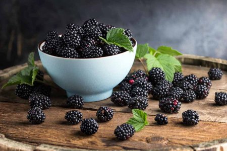 BLACKBERRY ежевика