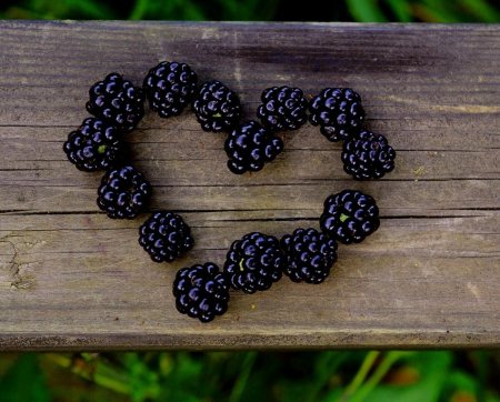 Ежевика сердце