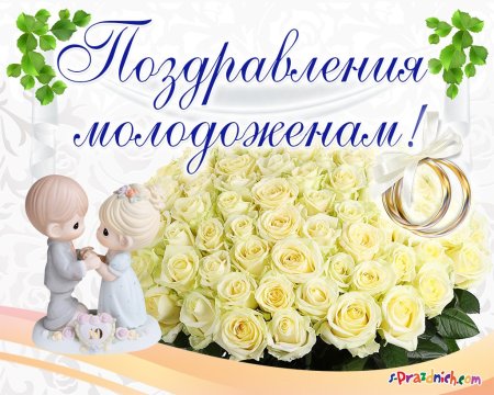 Поздравление молодожон