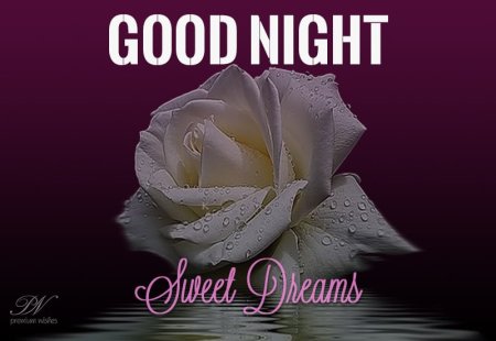 Good Night Ольга