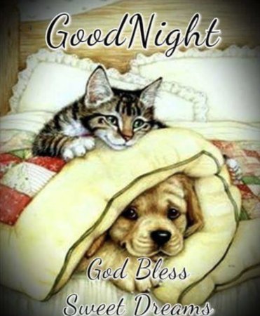 Goodnight классные рисунки