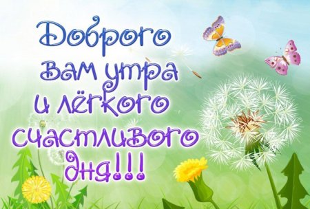 Доброе утро счастливого дня
