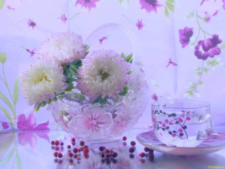 Чудесного дня и настроения
