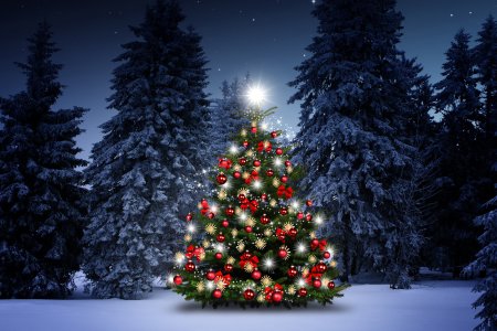 Красивая Новогодняя елка