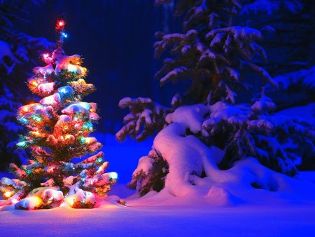 Новогодняя зима