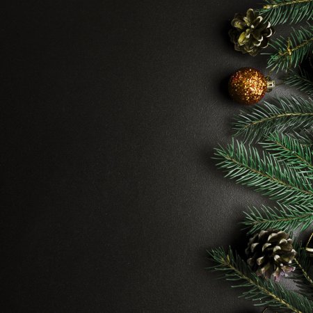 Елочная ветка