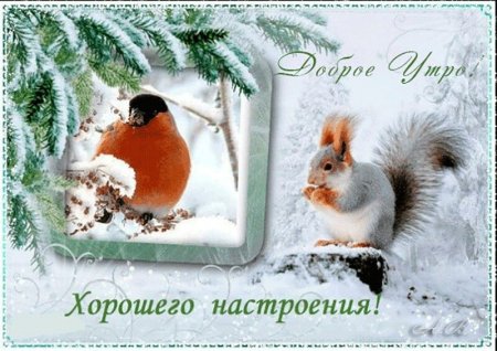 Доброго зимнего утра и хорошего настроения