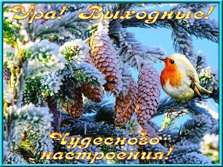 Приятного зимнего выходного дня