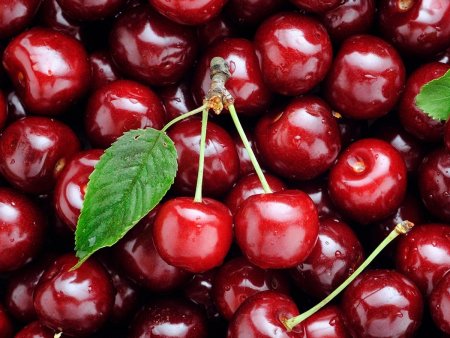 Черешня Фриско