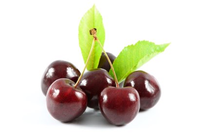 Вишня и черешня