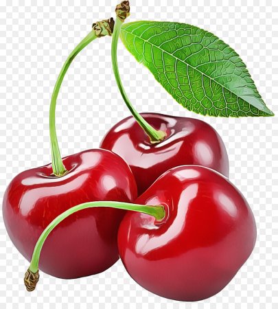 Вишня черешня на белом фоне