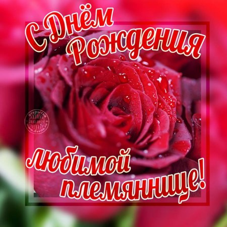 Открытки с днём рождения племяннице