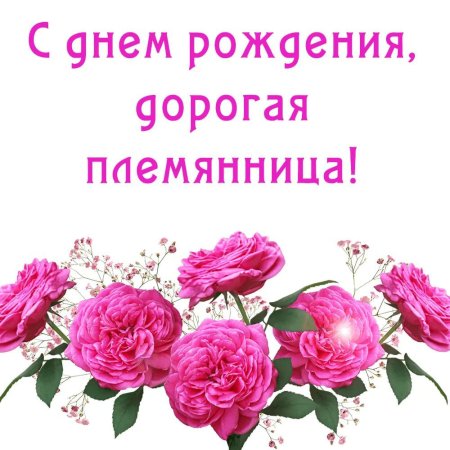 С днемрожденияплемянице