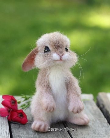 Милые зайчики