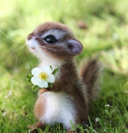 Милые животные