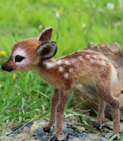 Детеныши животных