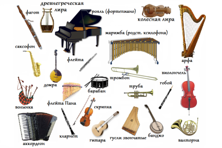 Струнные, духовые, ударные, язычковые музыкальные инструменты