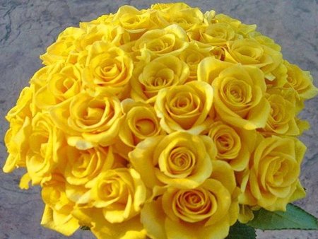 Желтые розы открытки