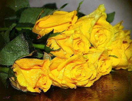 Букет желтых роз с днем рождения