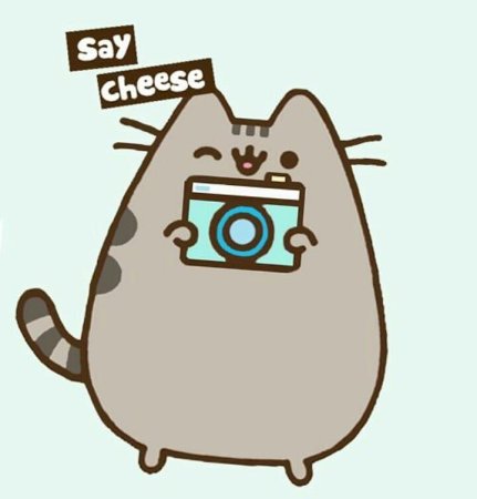 Кот Пушин Кэт