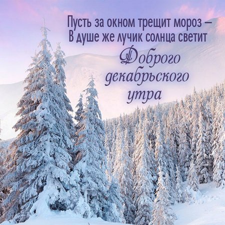 Доброе утро хорошего дня зима