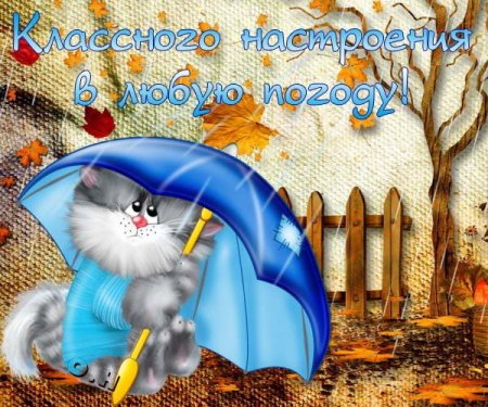 Хорошего настроения в любую п