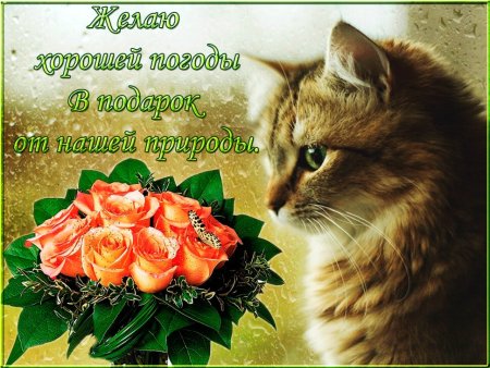 Открытки хорошей погоды и отличного настроения