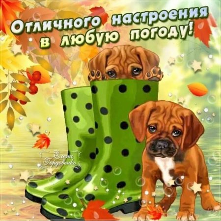 Отличного настроения в любую погоду