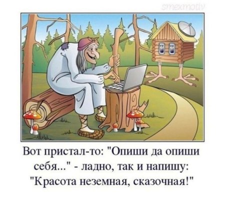 Баба Яга с компьютером