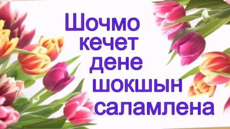 Шочмо кечет дене саламлена