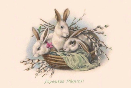 Кролики для декупажа