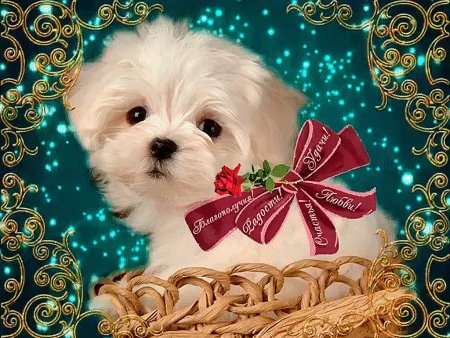 Красивые открытки