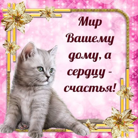 Кошачьи пожелания