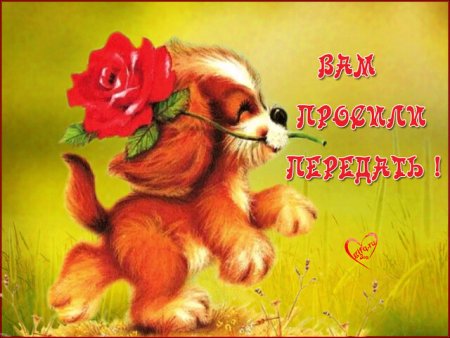 Открытки на все случаи жизни бесплатно