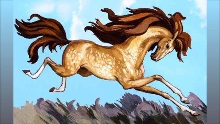 Бурка каурка