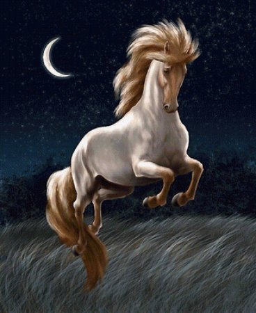 Конь Сивка бурка