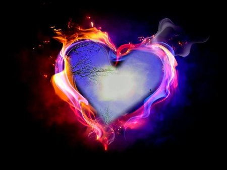 Сердце любовь