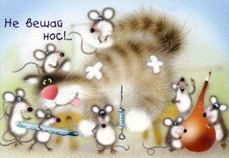 Картинки со словами поддержки