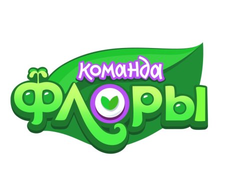 Команда Флоры мультсериал 2021