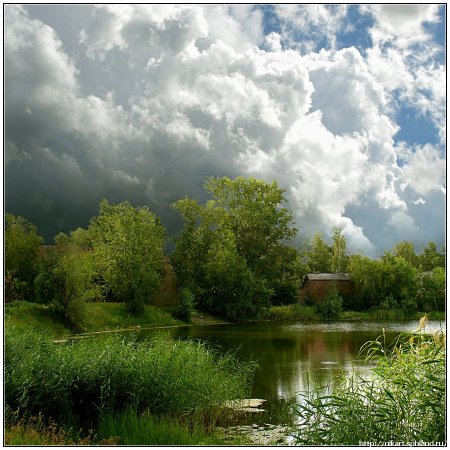 Пасмурное летнее утро