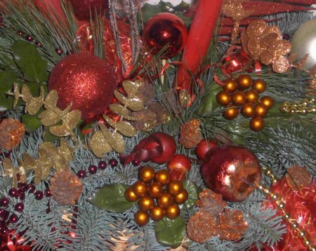 Гилоцавт Ахал целс 2021