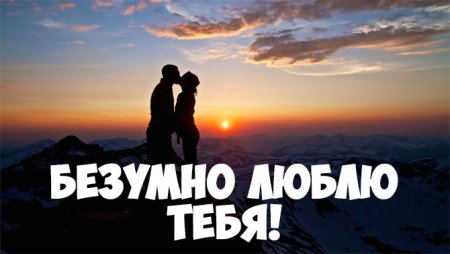 Я безумно тебя люблю