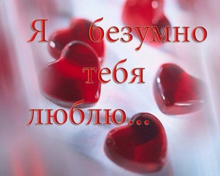 Я тебя очень люблю