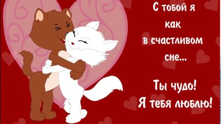 Я тебя очень сильно люблю