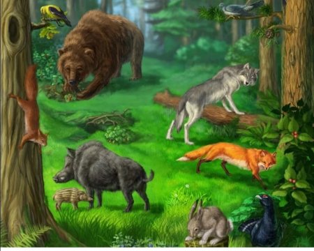 Жители леса