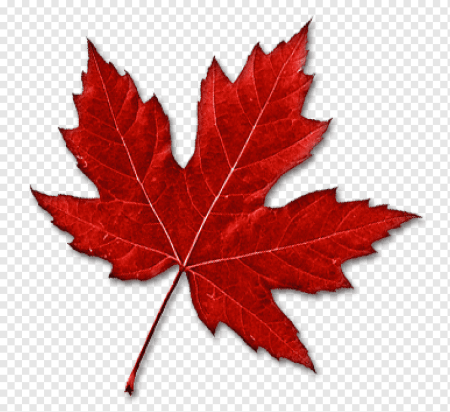 Кленовый листок Канада